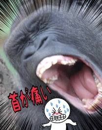 �u���O�摜