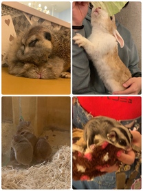 �u���O�摜