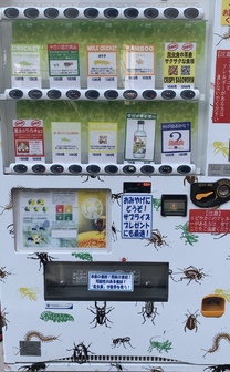 �u���O�摜