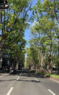 �u���O�摜