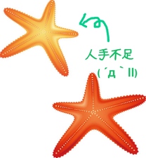 �u���O�摜