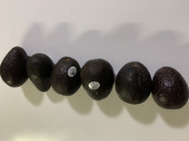 �u���O�摜