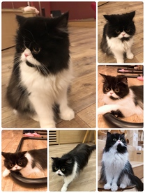 �u���O�摜