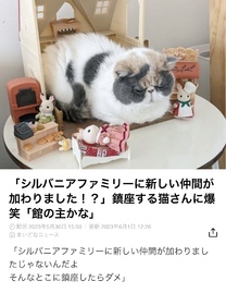 �u���O�摜