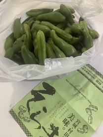 �u���O�摜