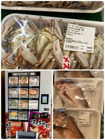 �u���O�摜