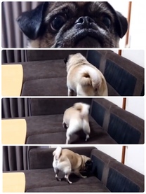 �u���O�摜