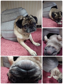 �u���O�摜