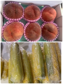 �u���O�摜