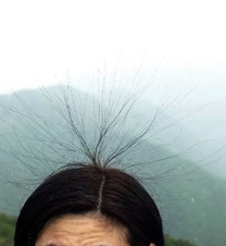 �u���O�摜