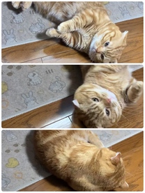 �u���O�摜