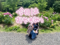 �u���O�摜