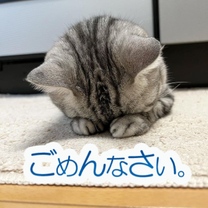 ߂Ȃ