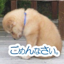 ���ε����β���