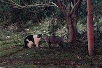 ���ε����β���