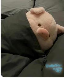 ���ε����β���