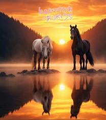 ���ε����β���