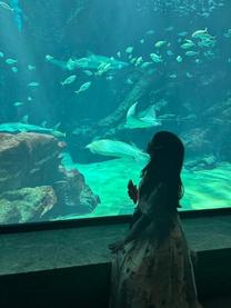 �����i????