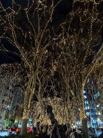 �C�����H