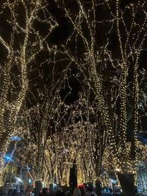 �ڕW�B���c??