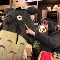 �u���O�摜