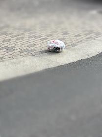 �S�~���W...