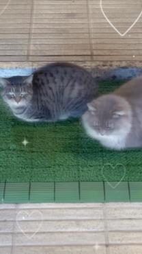 16������~?