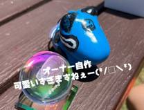 �u���O�摜