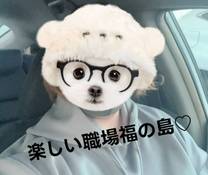 �u���O�摜