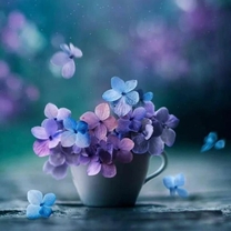 �ދ΂��܂���