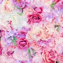 �ދ΂��܂���