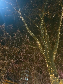 ��������悤