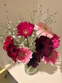 ���T���X�������肢�v...