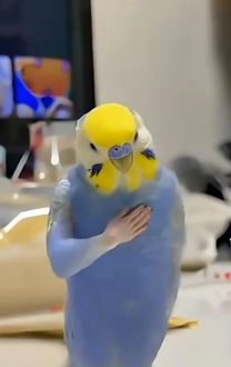 ���v���Ԃ�ɁB