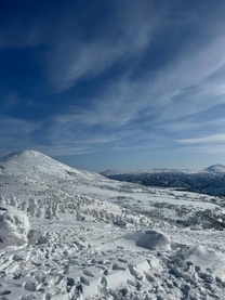 ���R�ɂ͕�����邵���Ȃ�