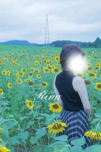 �u���O�摜