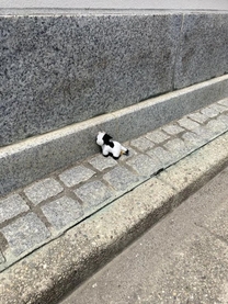 �����̊i��