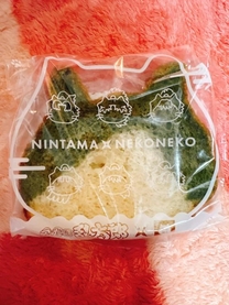 �u���O�摜
