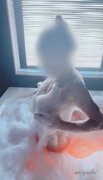 ���͂悤��