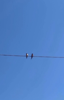 ���͂悤�������܂�