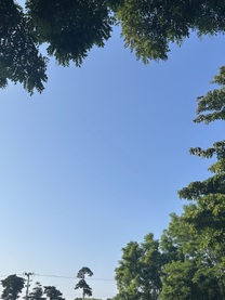 εβ