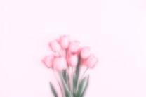 5/20݂...