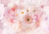 8/25݂...