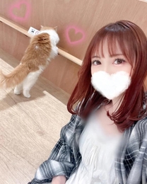 ���ε����β���