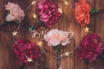 ���ε����β���