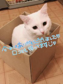 肪Ƃ