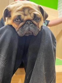 �_�E�����Ă�