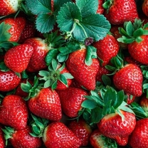 ���g����...