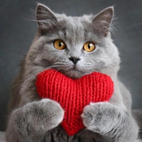 ��������...