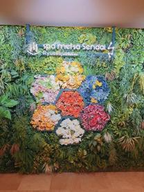 �т��������